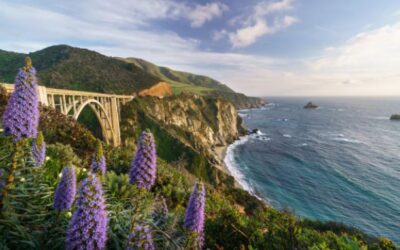 California’s top 5 most luxurious cities, nobody knows about.