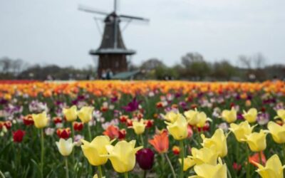 Where to go for spring break.