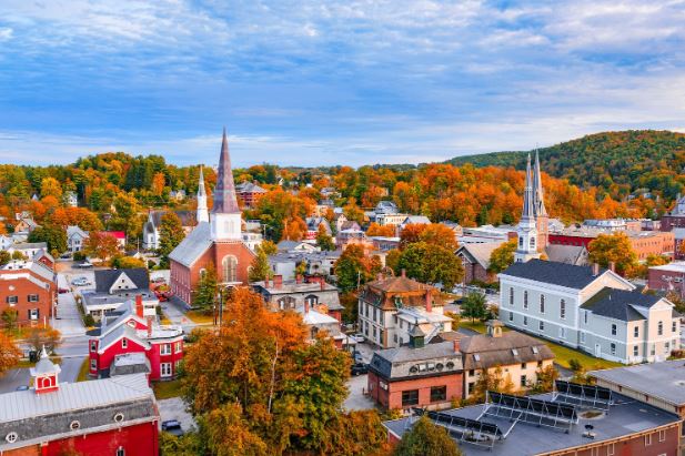 Motives for relocating to Vermont.